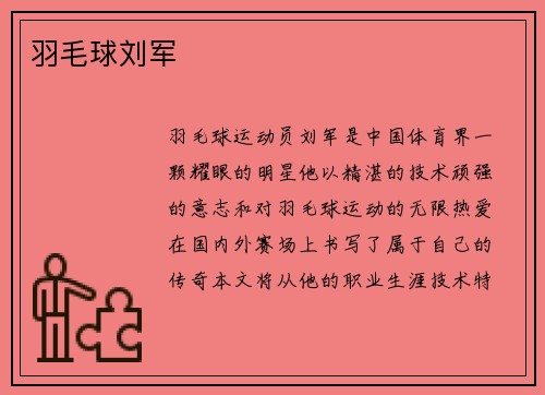 羽毛球刘军