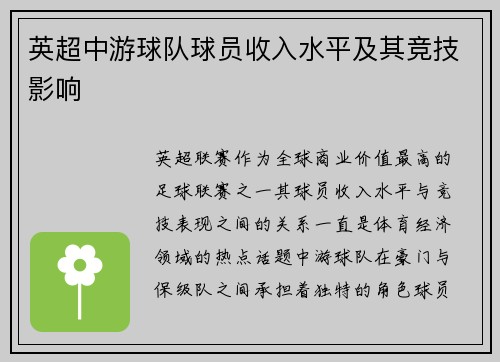 英超中游球队球员收入水平及其竞技影响